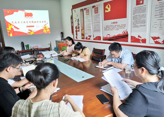 安博电子官方网站党支部召开党史学习教育专题组织生活会
